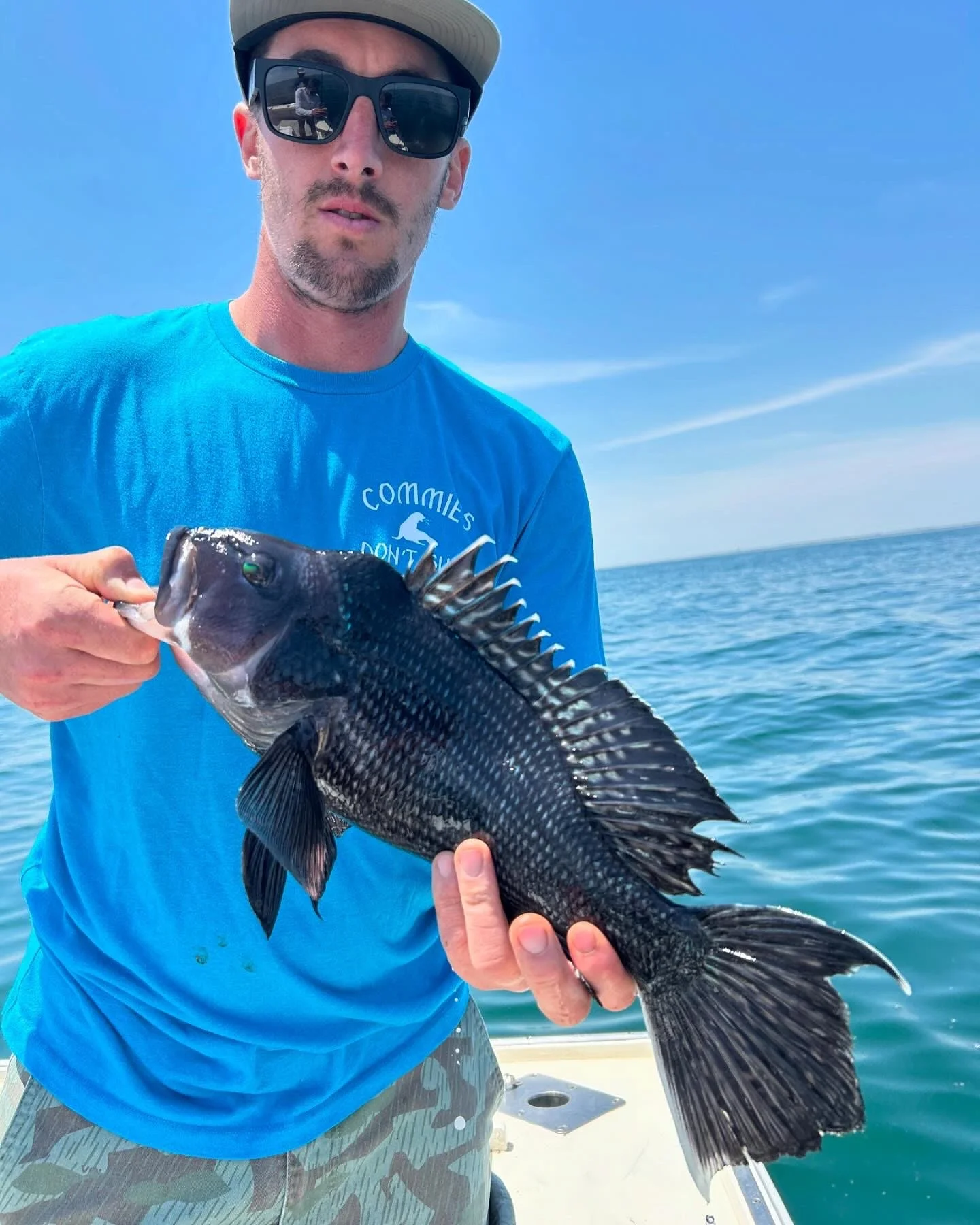 Black Seabass — Breakwater Fishing NJ